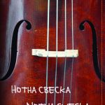 Notna sveska A4 Ilijanum